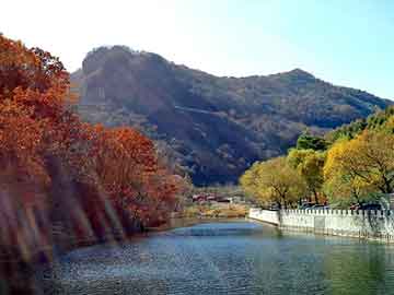 新澳天天开奖资料大全旅游团，精彩的小说